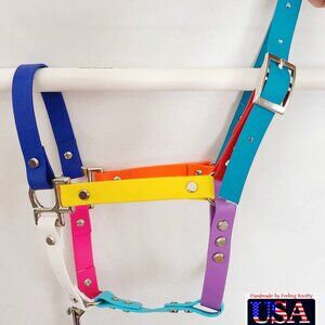 Weanling Foal Rainbow Pride Handmade Custom Halter with Catch Strap Horse Baby